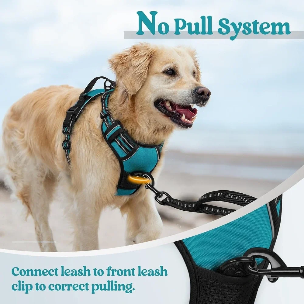 Rabbitgoo Dog Harness XS Teal No Pull Reflective Mesh Adjustabl Walking Vest Pet